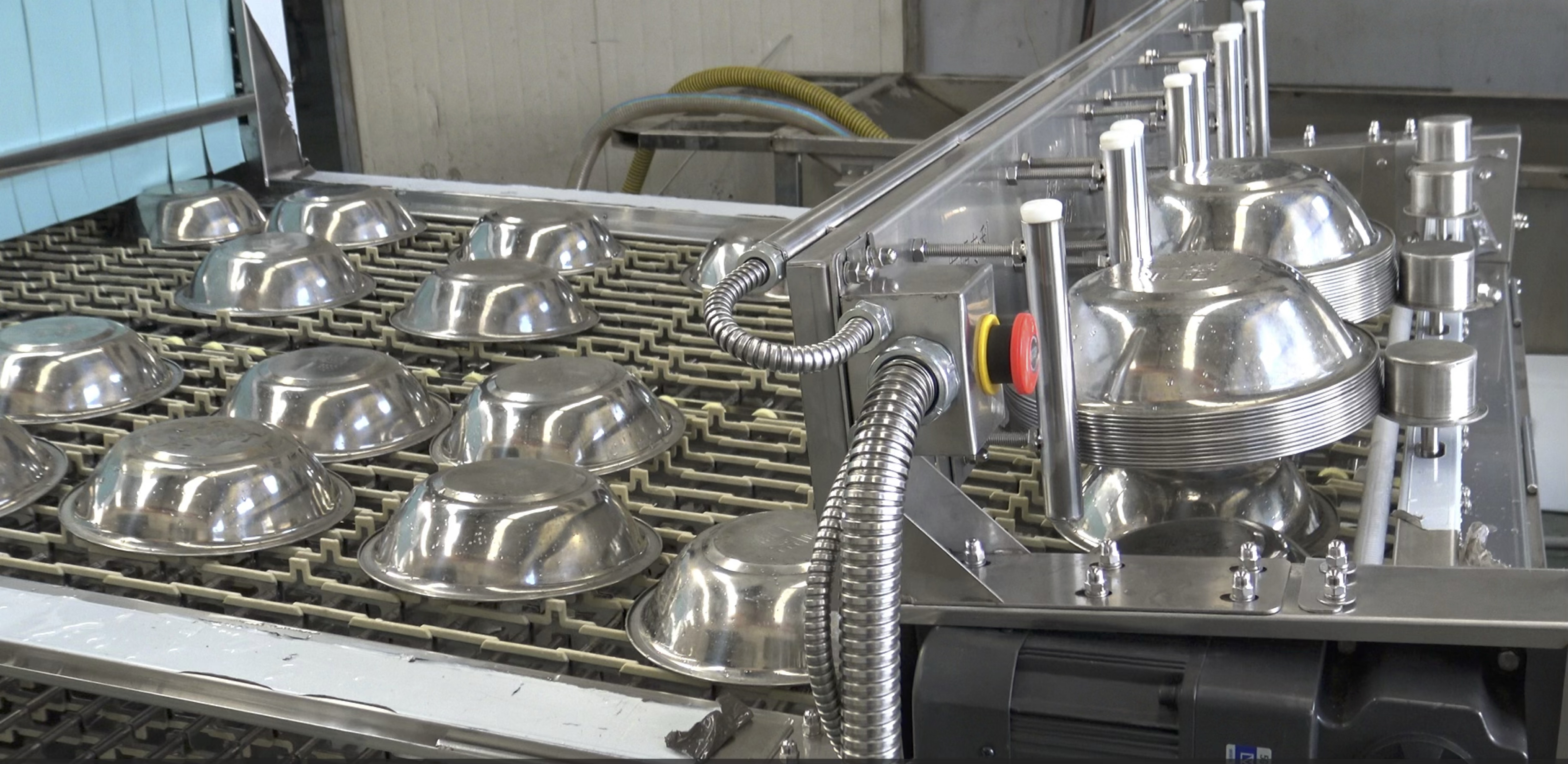 Dishwasher in Action